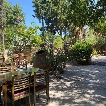 Medusa House Butik Hotel Didim Luaran gambar