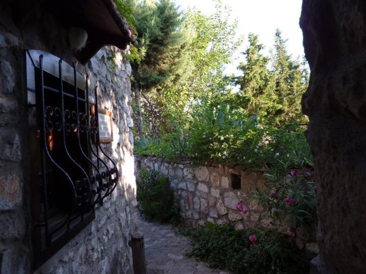 Medusa House Butik Hotel Didim Luaran gambar