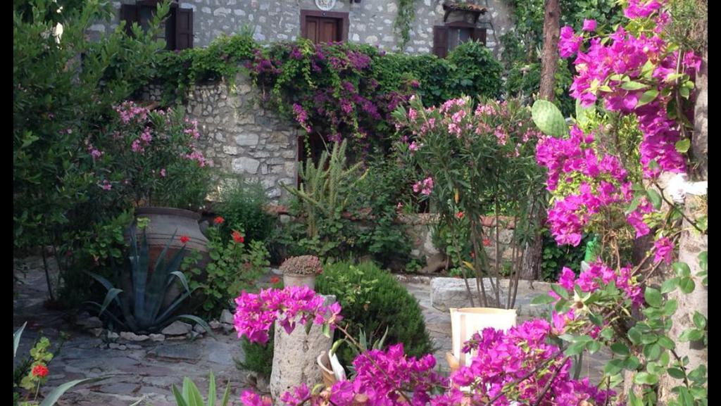 Medusa House Butik Hotel Didim Luaran gambar