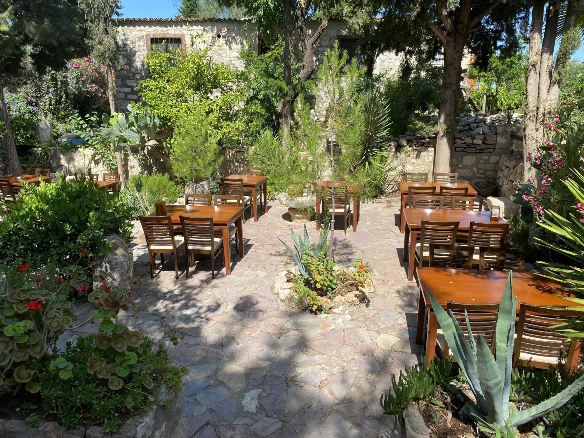 Medusa House Butik Hotel Didim Luaran gambar
