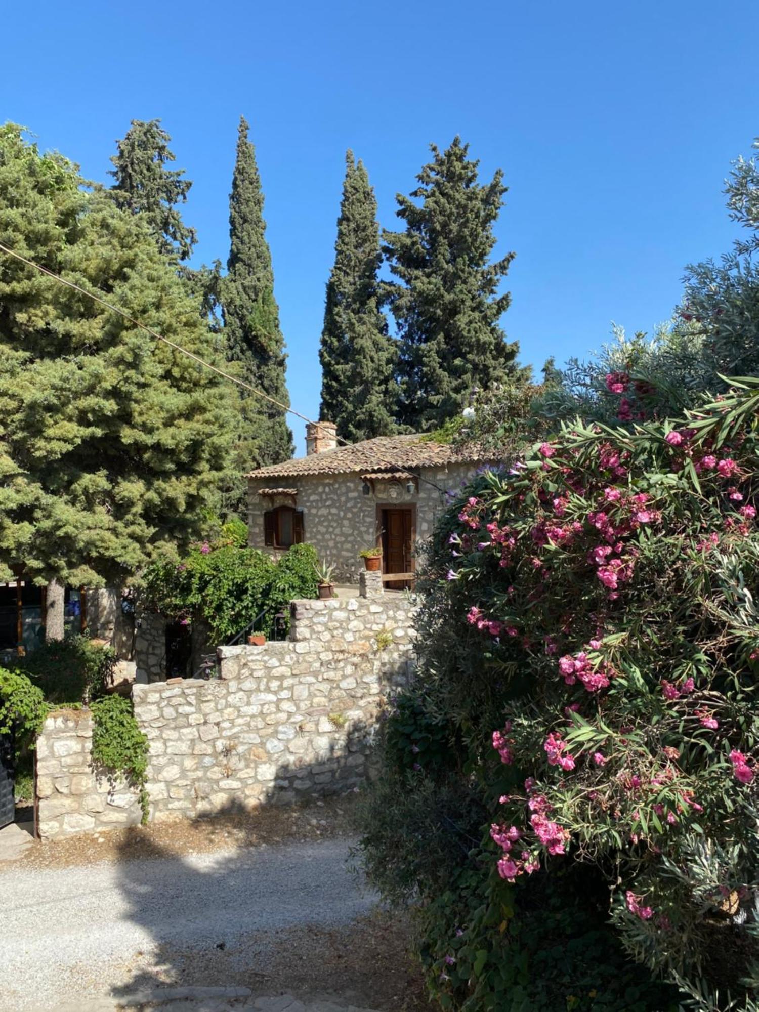 Medusa House Butik Hotel Didim Luaran gambar