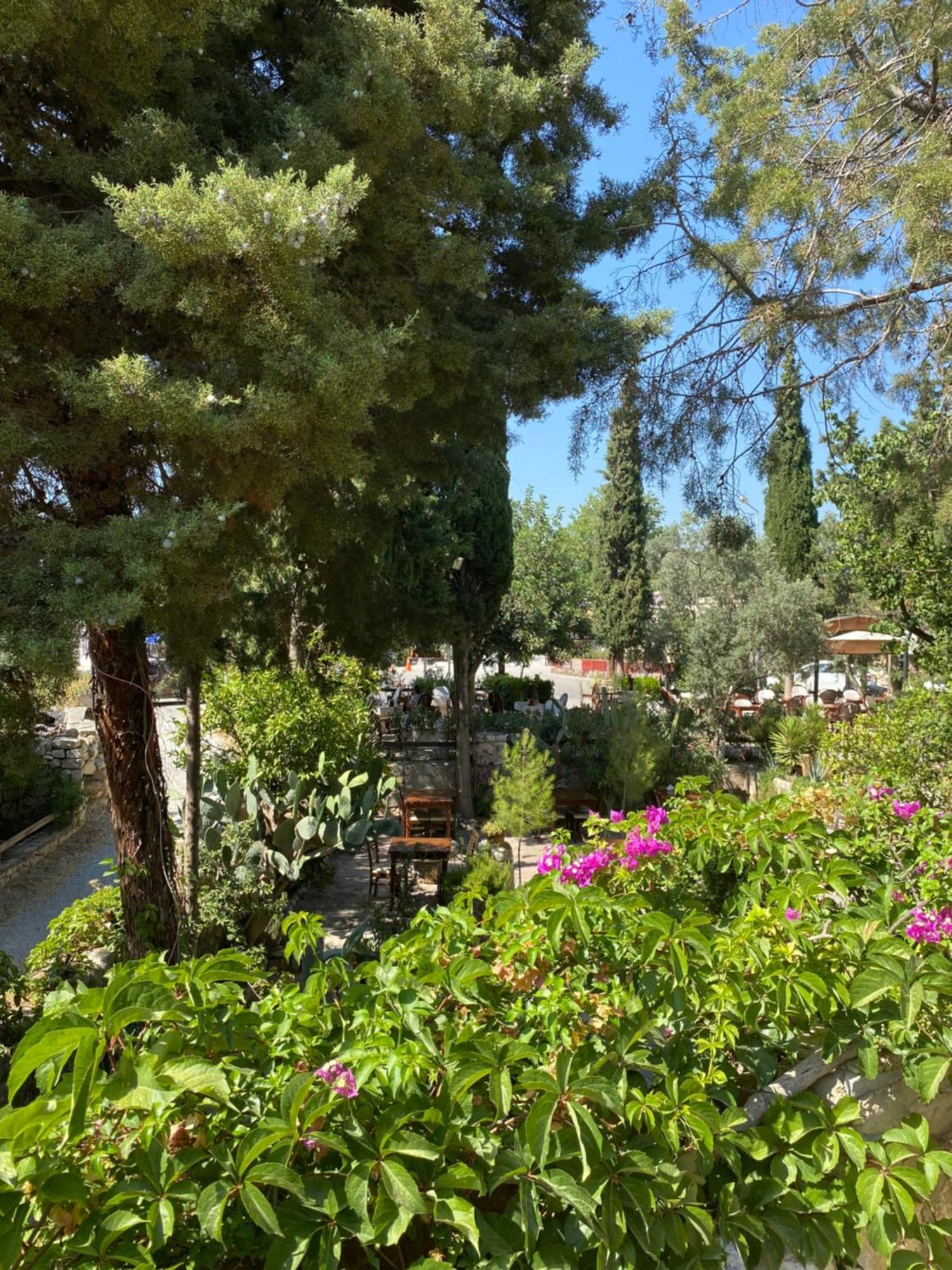 Medusa House Butik Hotel Didim Luaran gambar