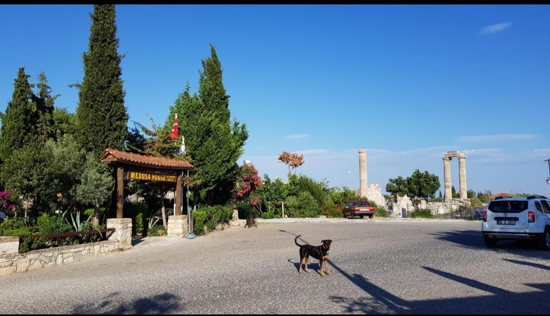 Medusa House Butik Hotel Didim Luaran gambar